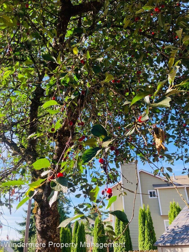 Building Photo - 3 br, 2 bath House - 10979 Marigold Drive NW