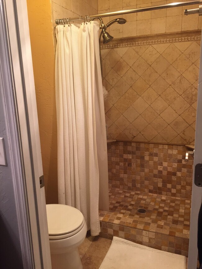 master shower/toilet; separate room from vanity - 9175 Campina Dr