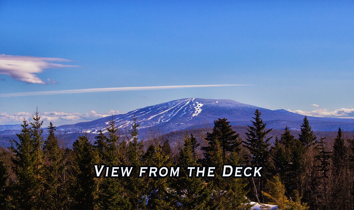 31 Farm Rd, Peru, VT 05152 Condo for Rent in Peru, VT