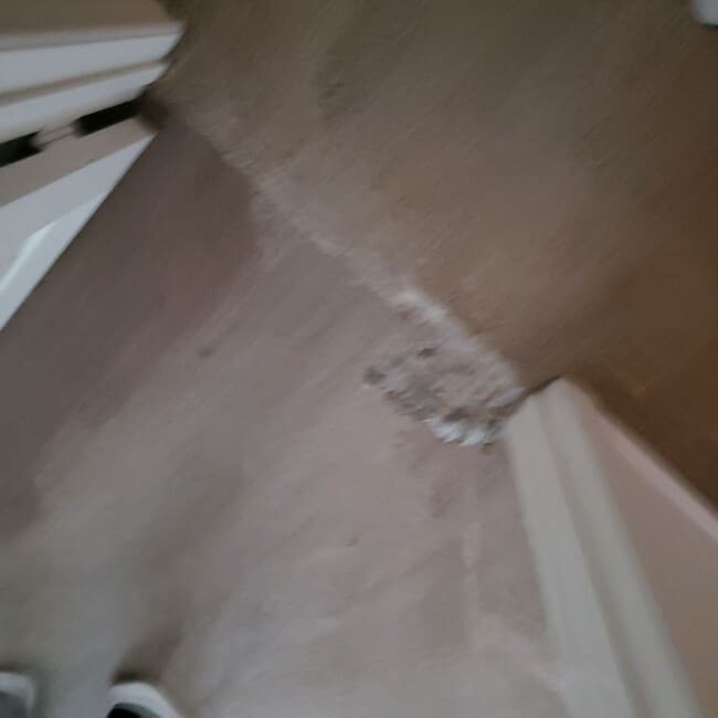 Foto del edificio - BEAUTIFUL ROSETTA CANYON 45014 Anabel Lane Lake Elsinore