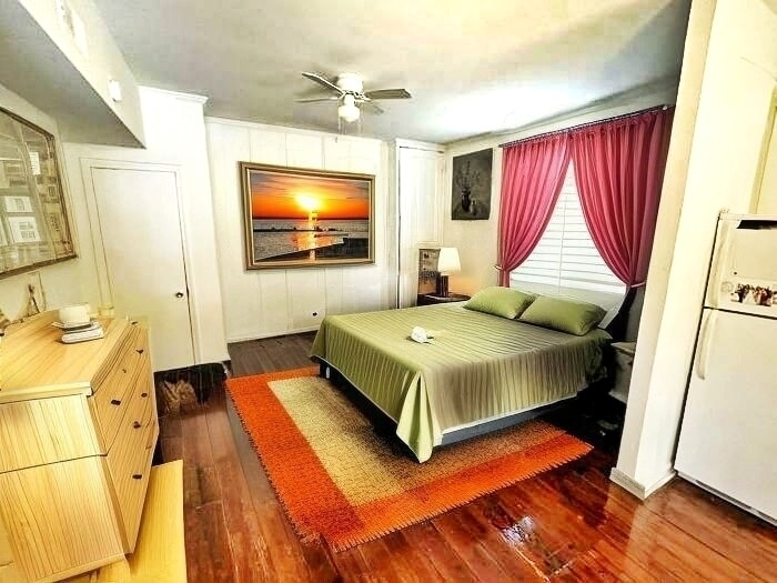 Photo - 199 Spring St (Charleston, SC)