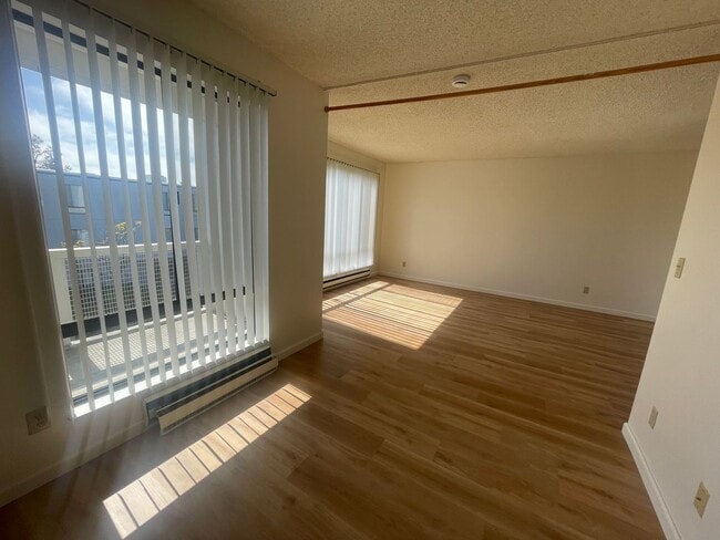 Foto del edificio - Newly Updated Studio at Watergate Apartmen...