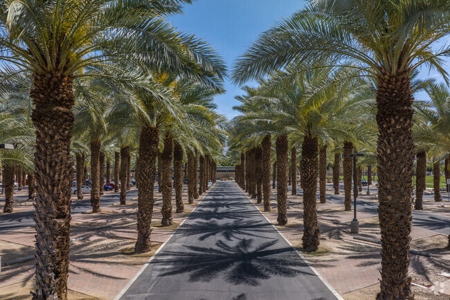 Palm Desert is known for the palm-tree lined streets swaying to breeze.