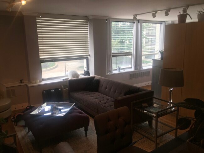 Foto del edificio - 1455 N Sandburg Terrace