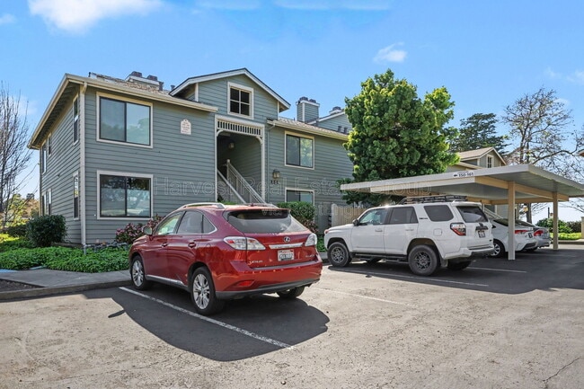 Building Photo - 152 Lakeshore Ct