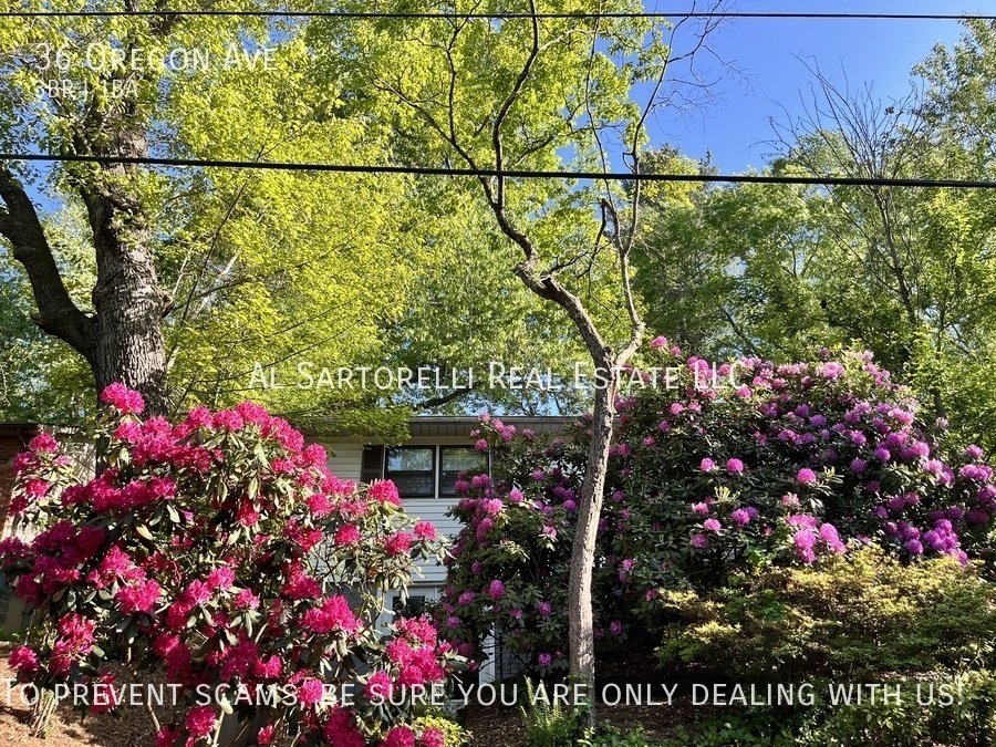 Primary Photo - Secluded pet friendly bungalow in WAVL, re...
