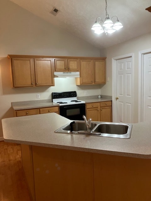 Kitchen photo 2 - 1101 Pine Run Dr