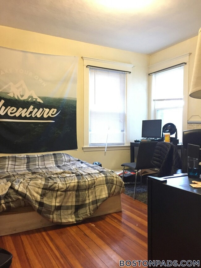 Building Photo - 209 Chestnut Hill Ave