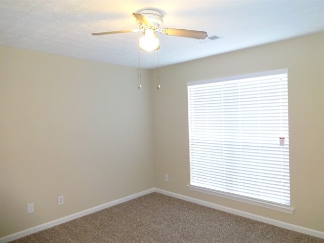 Foto del edificio - 210 Summer Hill Cir