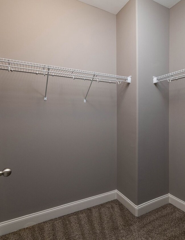 Building Photo - 530 Fifer Cir