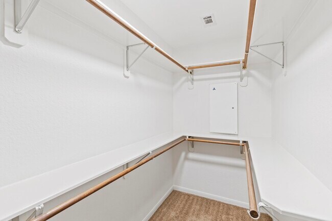 Foto del edificio - 19 Endor Forest Pl