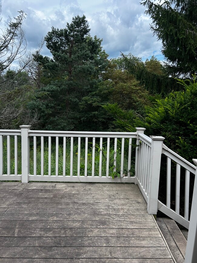 Front porch - 15042 Bittinger Rd