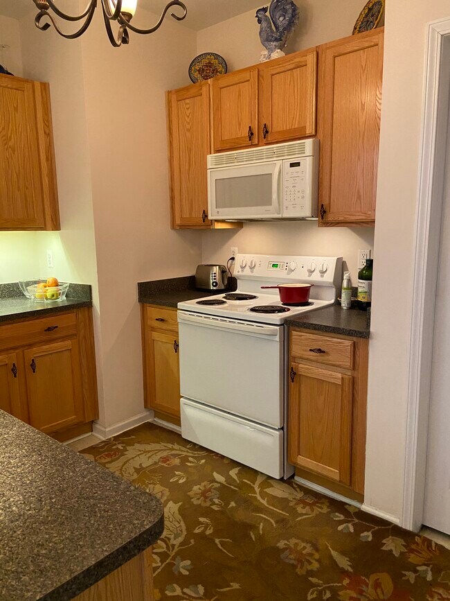 Kitchen - 25862 Maritime Cir N