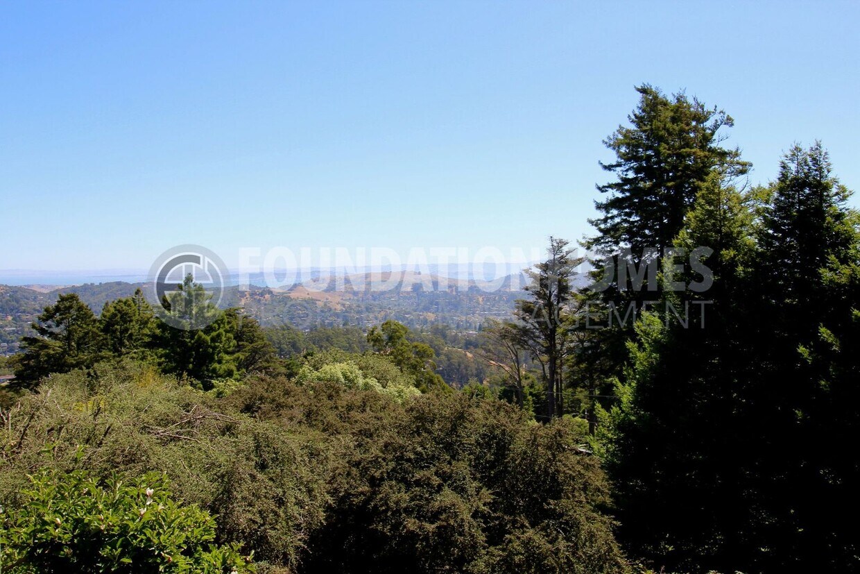 Foto principal - Charming 1BD/1BA in Mill Valley - Bay View...