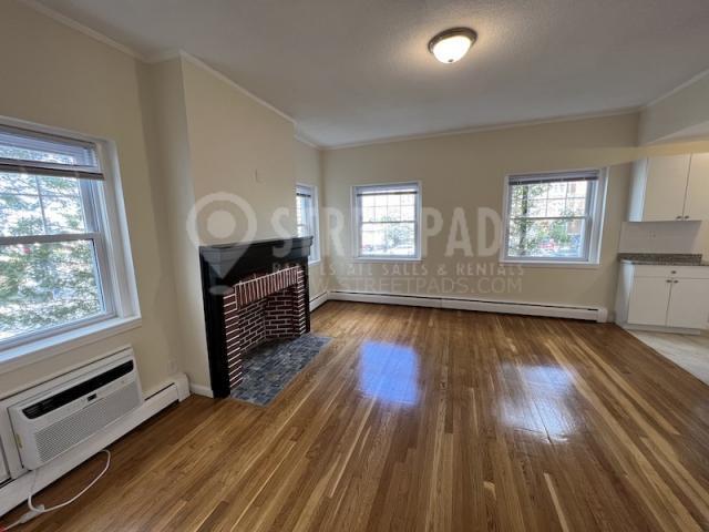 Building Photo - 1 bedroom in Boston MA 02135