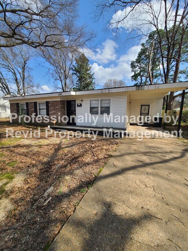 Building Photo - 3 Bedroom and 1 Bath