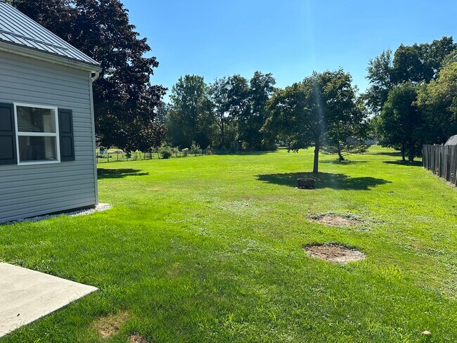 Backyard - 2718 Carter Ave