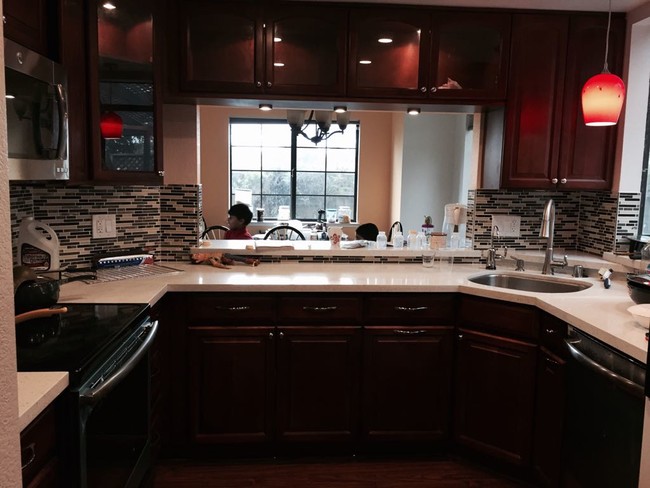 Building Photo - 1597 Camden Oaks Ct