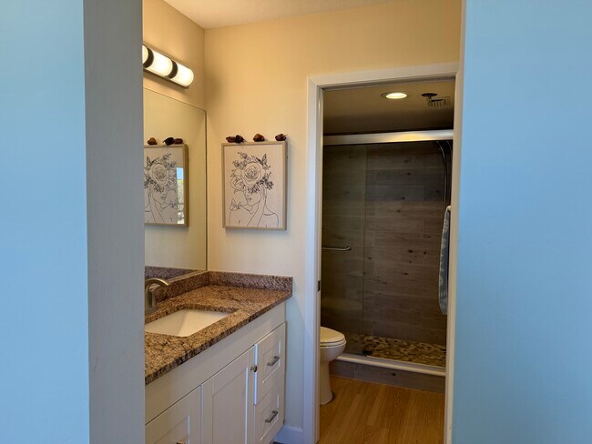 Baño principal - 4550 Pinebrook Cir