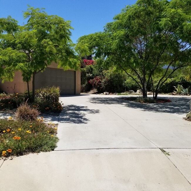 Building Photo - 805 Alpine Ct