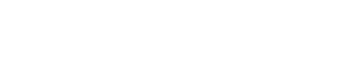 The Domain Companies