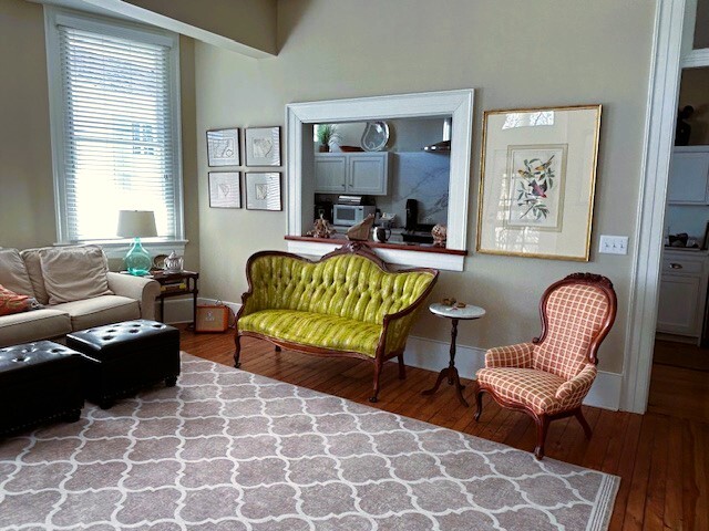 Living Room-Bay Windows-Sleeper Sofa- - 82 Rutledge Ave