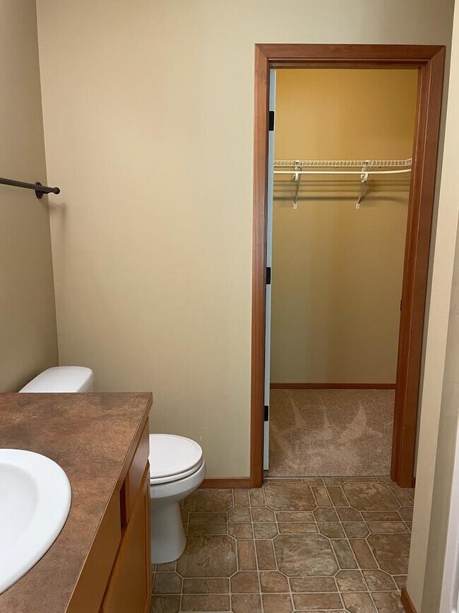 Master bath with walk in closet - 213 Sage Brook Ln
