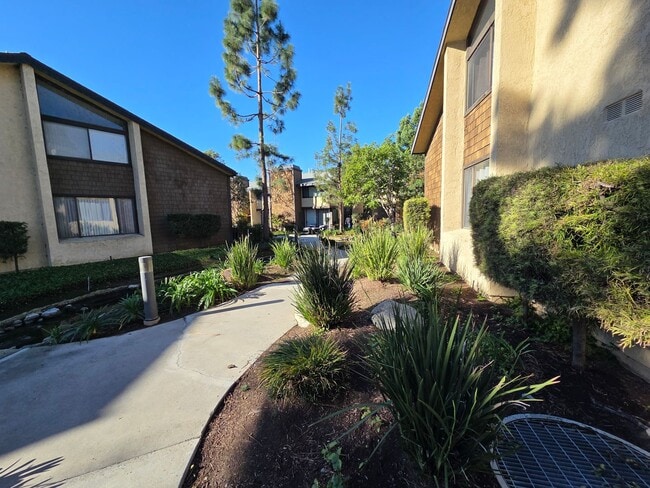 Foto del edificio - Charming 1 Bed, 1 Bath Lakewood Shores condo!