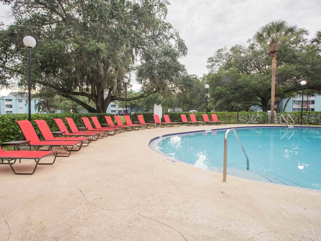 3100 Old Winter Garden Rd, Ocoee, FL 34761