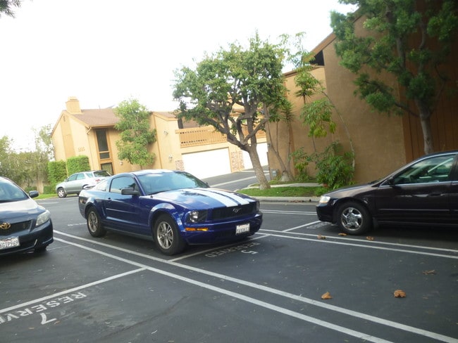 Foto del edificio - 2286 Pacific Ave