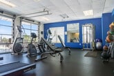 This fitness room offers a thoughtfully designed workout space that accommodates a wide range of exercise needs. The room is finished with durable rubber flooring ideal for high-impact activity, and features a bold blue accent wall that energizes the space alongside neutral white walls and a drop-tile ceiling with recessed lighting panels.

Natural light floods in through a large glass garage-style door along one wall, providing bright, open views to the outdoors and creating an airy atmosphere. Additional windows with blinds offer supplemental daylight while allowing for privacy control.

The cardio section is well-stocked with multiple treadmills, elliptical machines, and a stationary bike. For strength training, the room includes a multi-function cable machine, adjustable weight benches, a barbell rack with free weights, and a medicine ball rack stocked with various sized balls. Stability balls are also available for core and flexibility work.

Large wall-mounted mirrors expand the visual depth of the space and allow users to monitor their form during workouts. A flat-screen television is mounted on the wall, providing entertainment during exercise sessions. The overall layout is organized and spacious, ensuring comfortable movement between equipment stations throughout the room.
