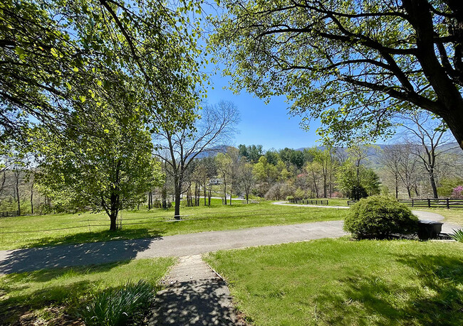 View from front door - 6100 Poage Valley Rd