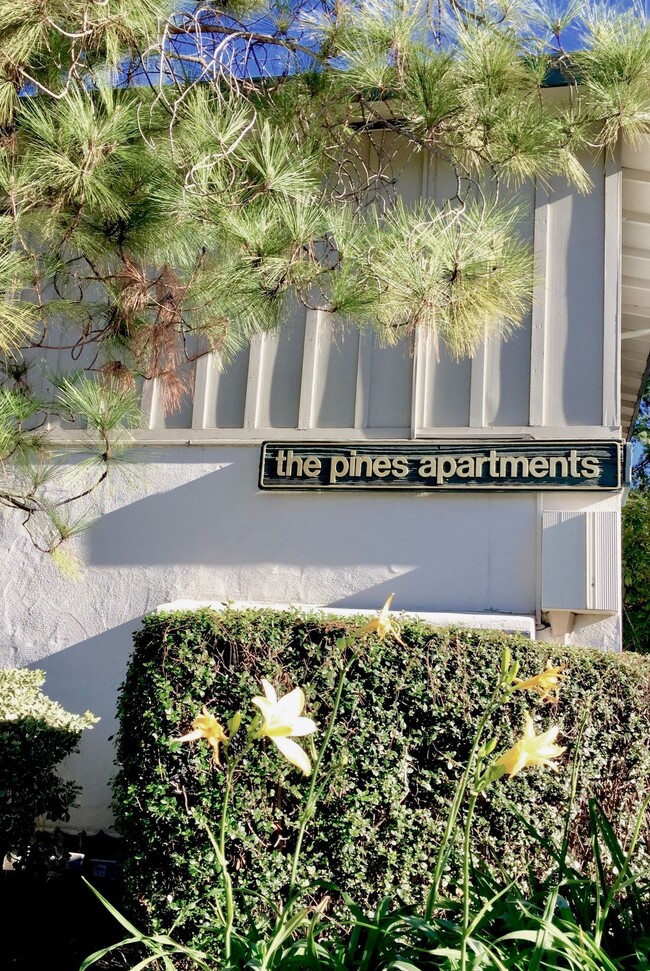 Foto del edificio - The Pines Apartments