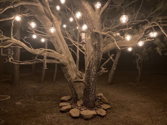 Foto del edificio - 3239 Pine Needle Dr