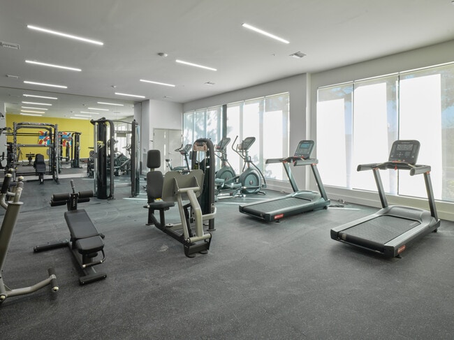 Fitness Center - Canopy West River Phase II