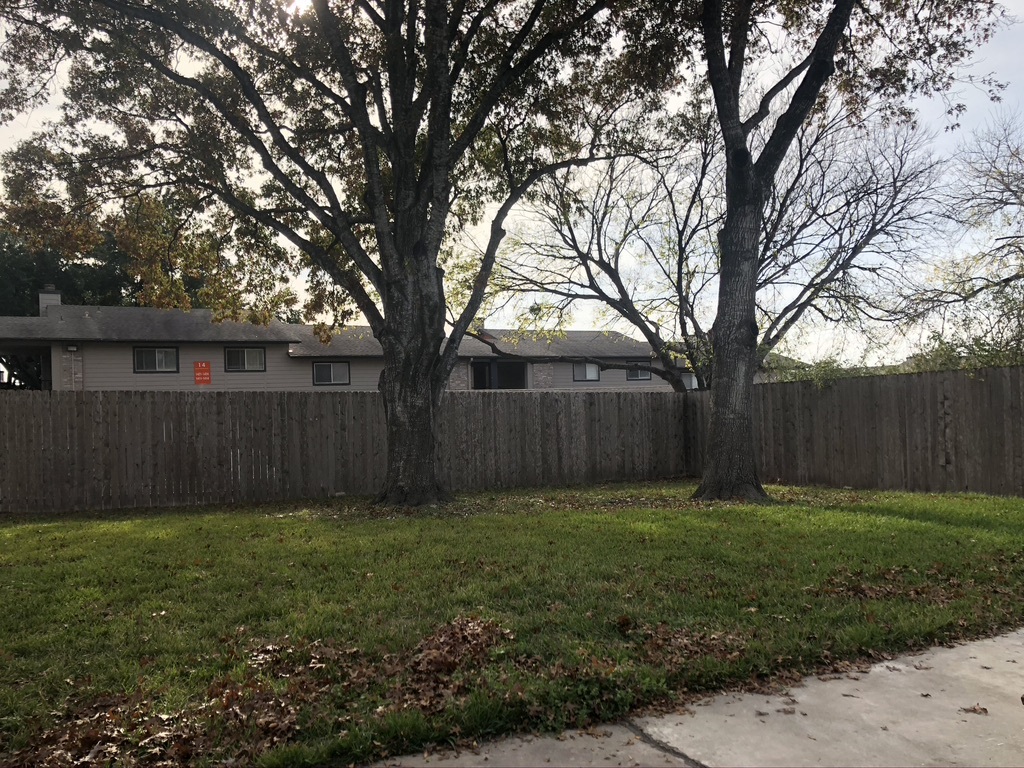 Fenced back yard with mature trees - 1413 Brighton Ln