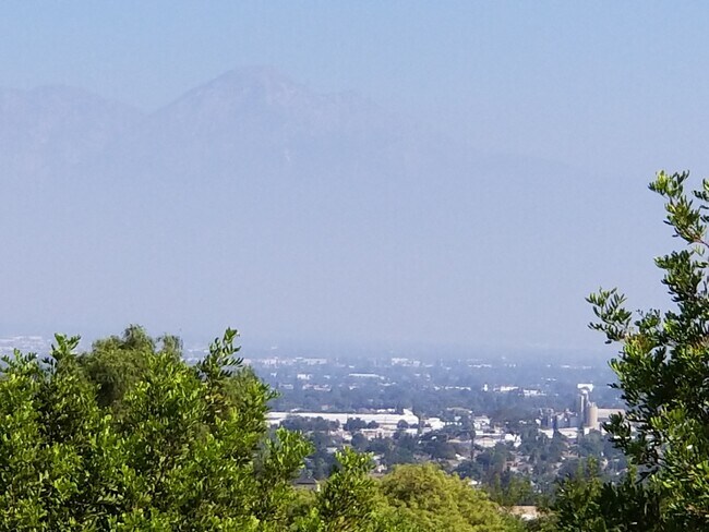 Photo - 13133 Le Parc Apartment