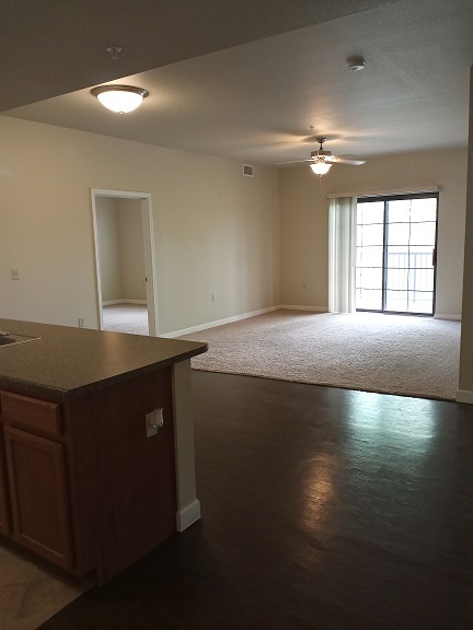 Living room - 1911 Cobblestone Ln