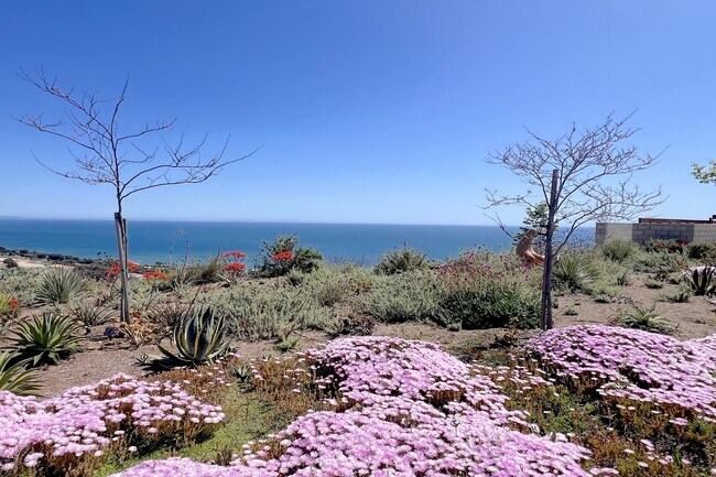 Foto del edificio - 34035 Pacific Coast Hwy
