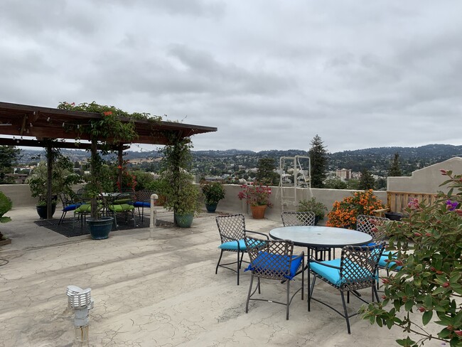 Community Roof Garden - Bellevue Towers