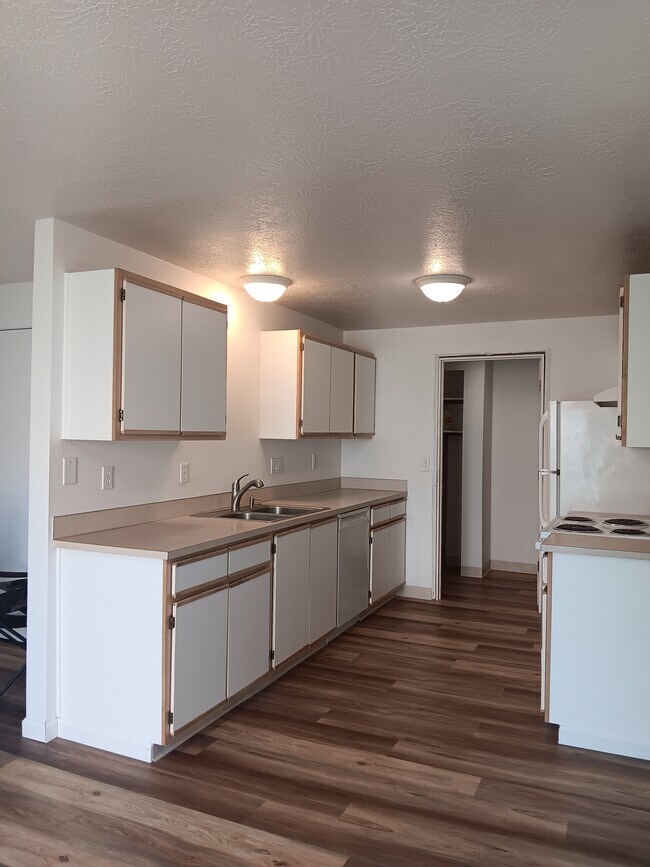 Kitchen - 393 Shamrock St