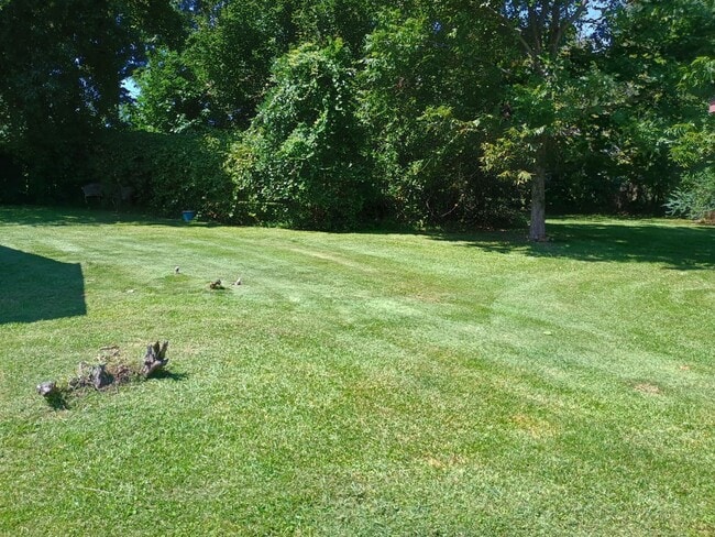 Building Photo - 312 Walnut Creek Ct