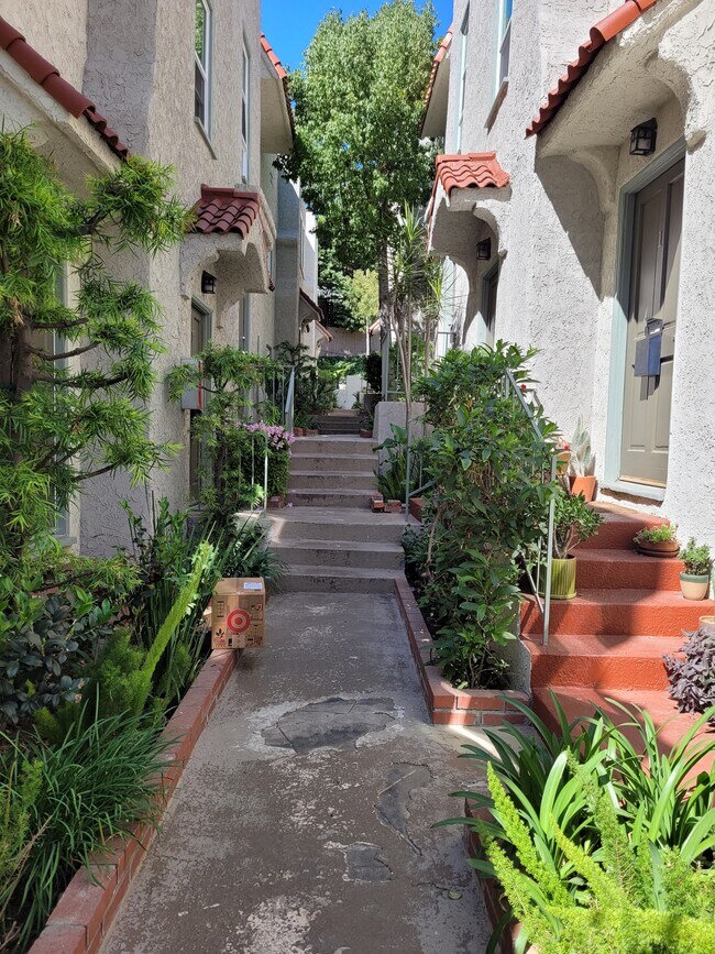 Courtyard - 1965 Wilcox Ave