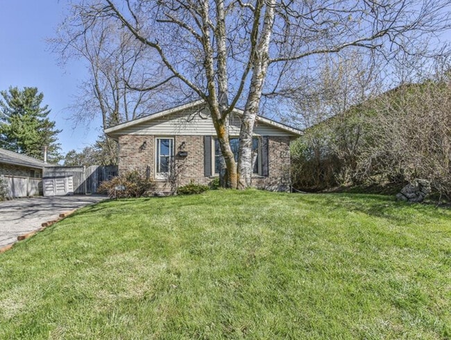 Photo du bâtiment - 319 Albert St