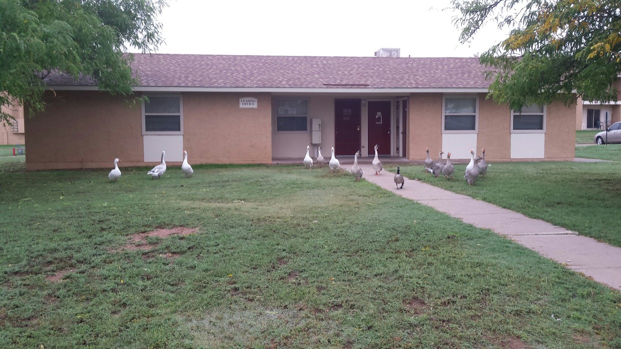 Primary Photo - Gatewood Village Apartments