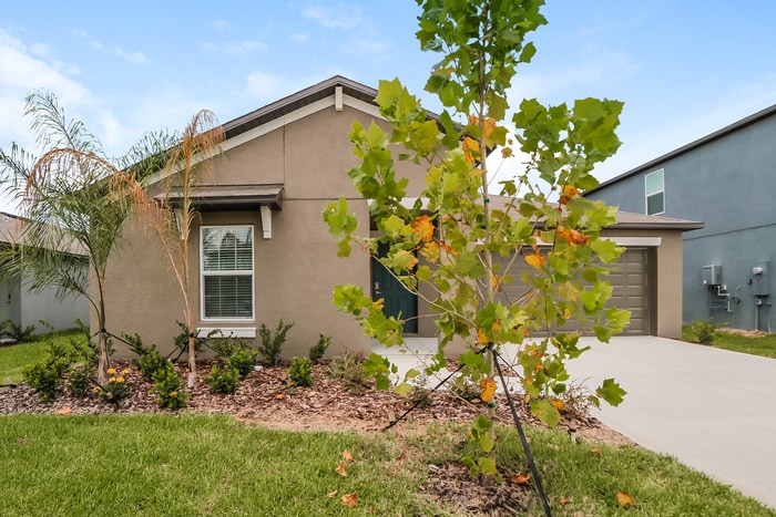 Primary Photo - 4222 84th Ct E