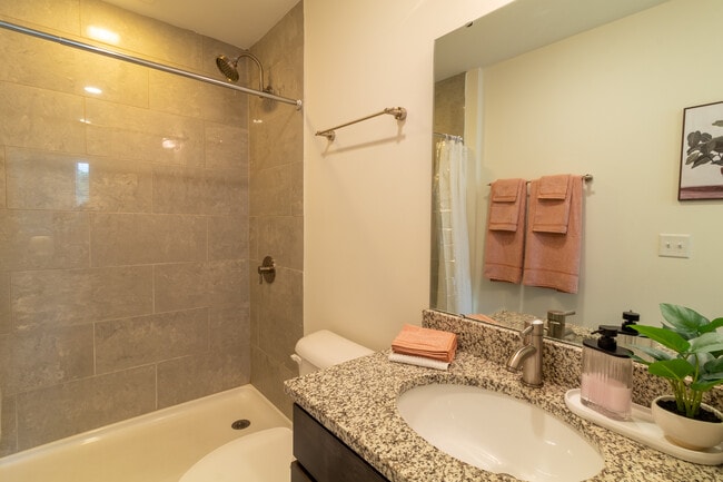 Building Photo - The King Apartments