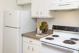 1BR, 1BA - 740SF - Bienville Towers