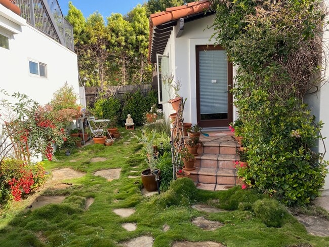 Front door and yard - 1224 Poinsettia Dr