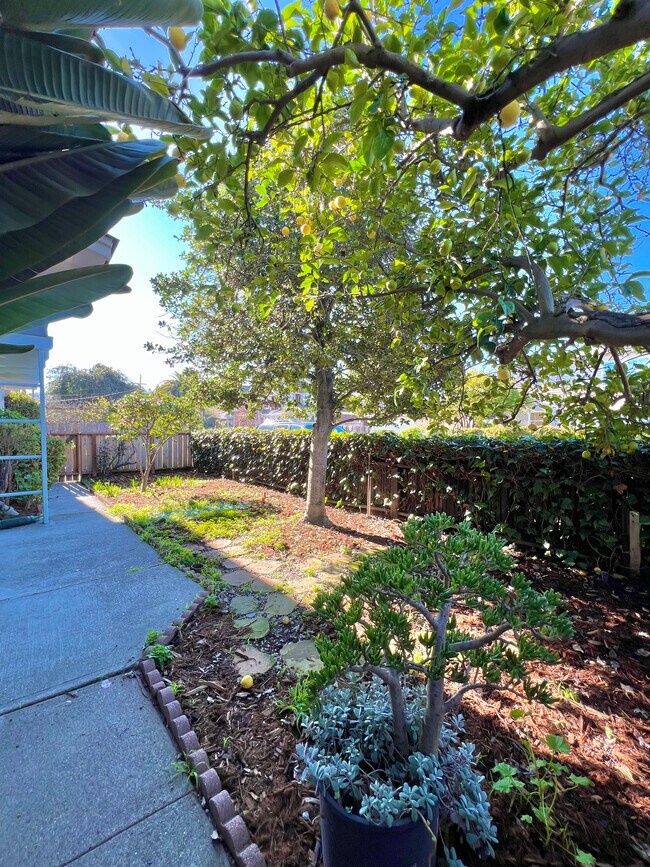 Private Patio Area - 235 Belle Ave